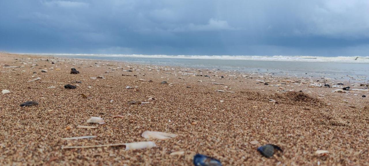 Le Zandkreek Plage & Centre - 2 Ch Koksijde Eksteriør bilde
