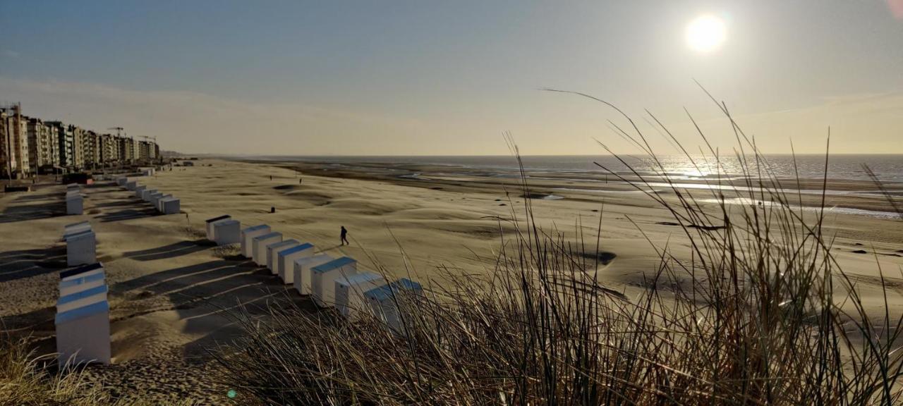 Le Zandkreek Plage & Centre - 2 Ch Koksijde Eksteriør bilde